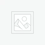 عنصر نائب Placeholder