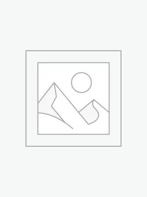 عنصر نائب Placeholder